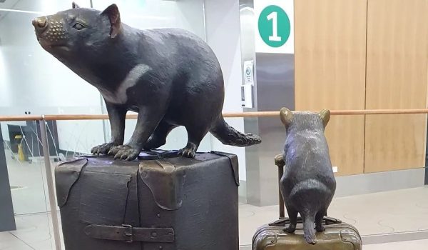 mitarbeiter_afiedler_travel_austalien